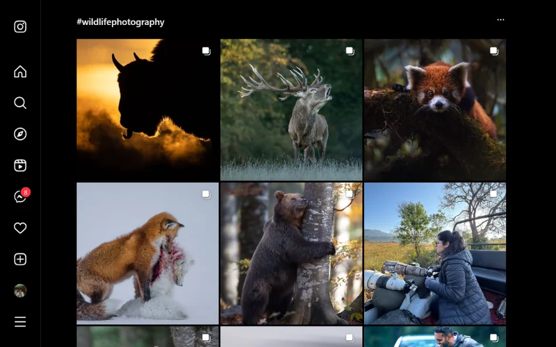 Wildlife Photography Hashtags, Instagram Hashtags For wildlife photography